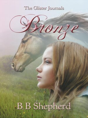 cover image of Bronze
